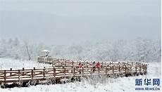 雪落在中国的土地上批注